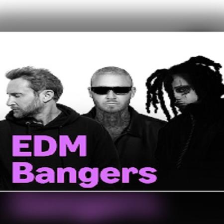 EDM Bangers (2026) FLAC